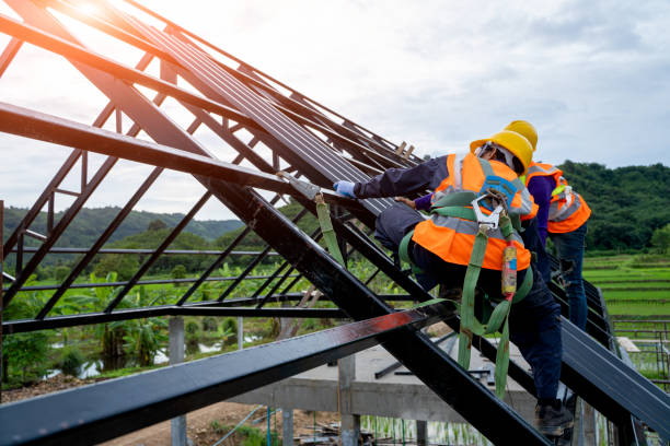 Best Roof Maintenance Services  in Oconto Falls, WI