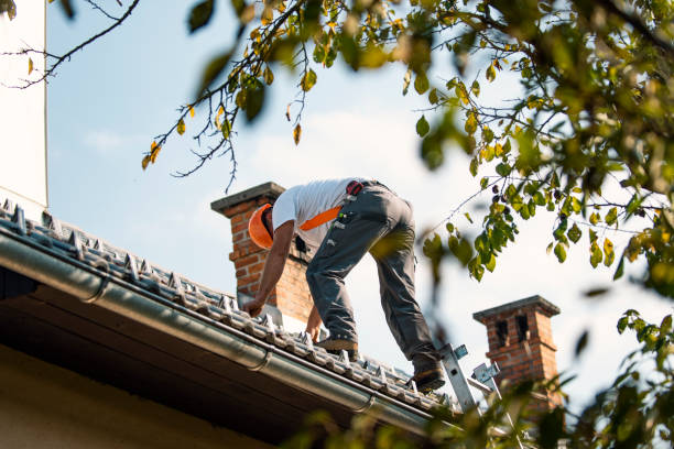 Best Roofing Contractors for Homes  in Oconto Falls, WI