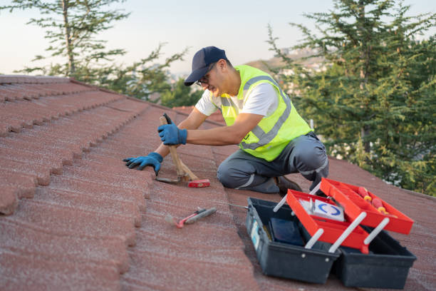 Best Shingle Roofing Installation  in Oconto Falls, WI
