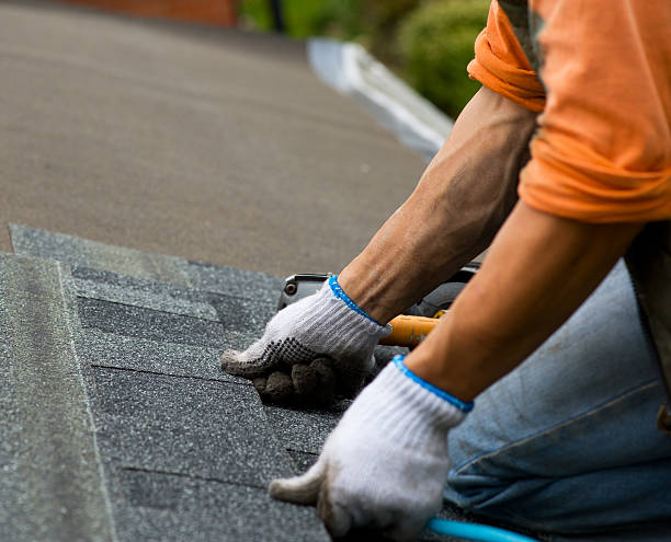 Best Tile Roofing Contractor  in Oconto Falls, WI