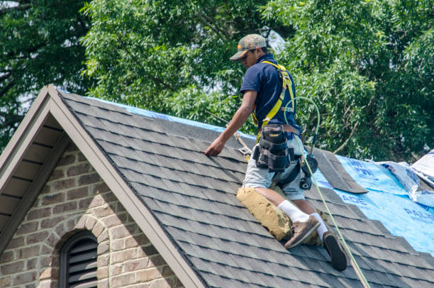Best Best Roofing Contractors  in Oconto Falls, WI